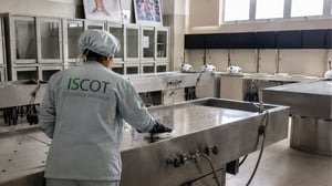 Áreas técnicas y críticas