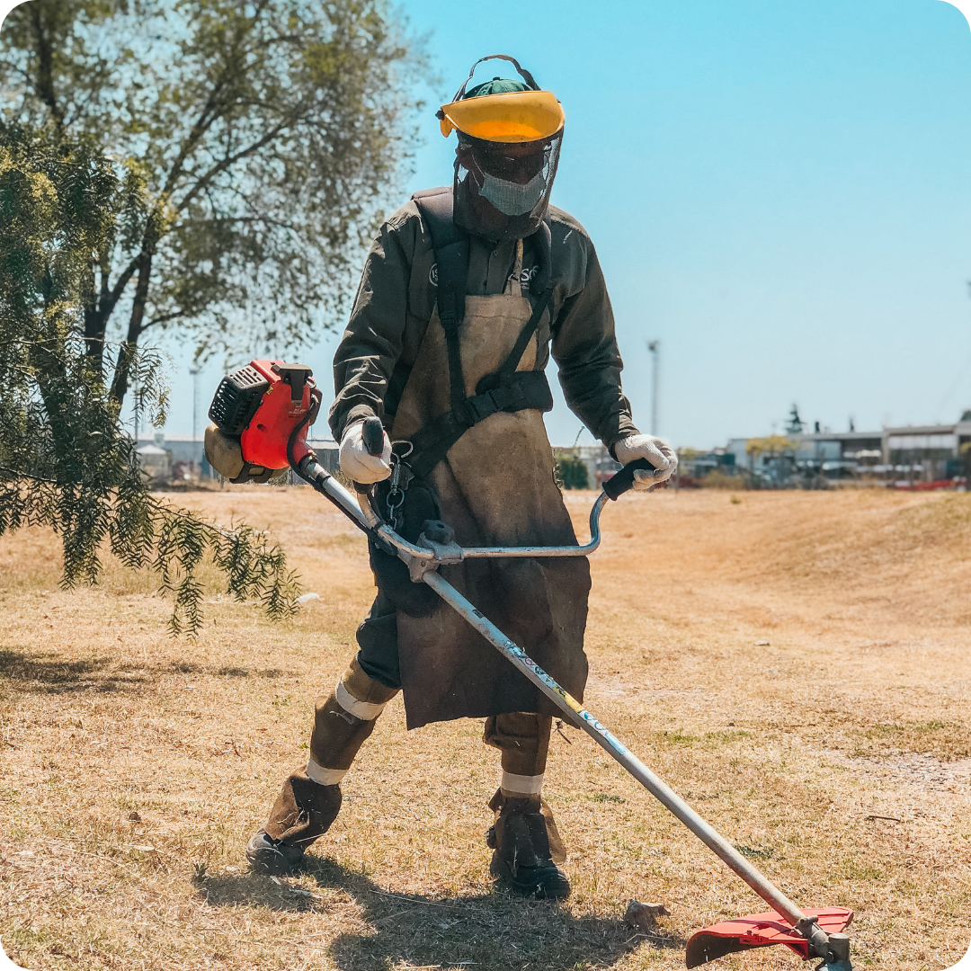 Espacios verdes Espacios verdes