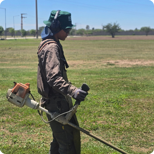 Espacios verdes Espacios verdes